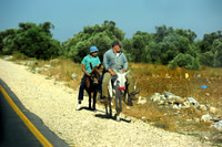 Riding Donkeys