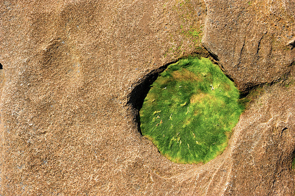 Green Spot