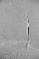 Sand... Arena,,,