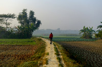 On the Path