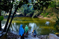 Pond