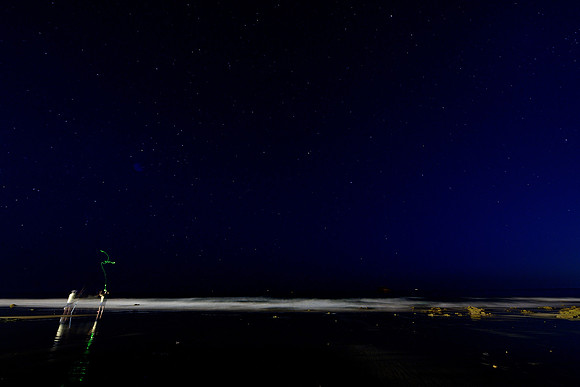 Pescadores noche 2013