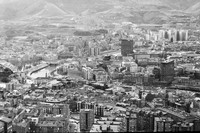 ZNA_5815