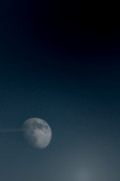 Cavorita