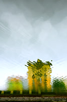 _ACD8939