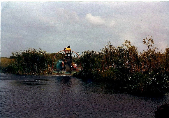 Everglades, Fla