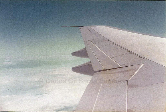 Wing