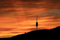 Collserola