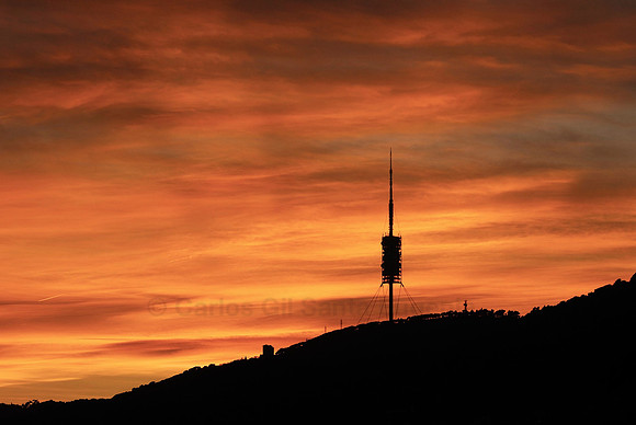 Collserola