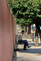 Under a Tree Shadow