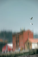 Reflejos023