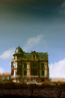 Reflejos/Reflections