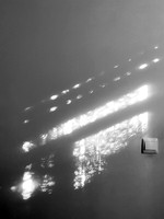 IMG_6774