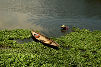 River Gathering
