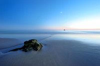 Seasee