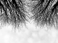 IMG_6030