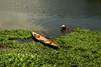 River Gathering